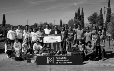 Fundación Carlos Moro y Fundación Grupo SIFU celebran la vendimia solidaria más inclusiva