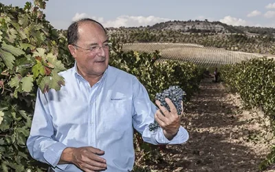 Un viaje al corazón de la viña
