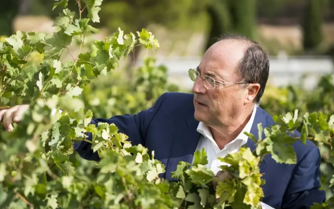 carlos moro presidente honor apd castilla y león