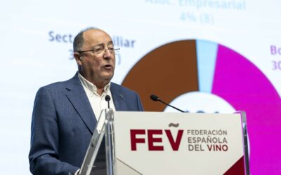 Innovación en el sector vitivinícola