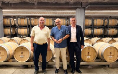 Historia y vino con Pedro Ballesteros