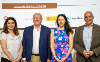 Conectar para innovar